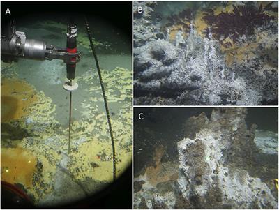 10 Years of Extreme Microbiology: An Interim Reflection and Future Prospects